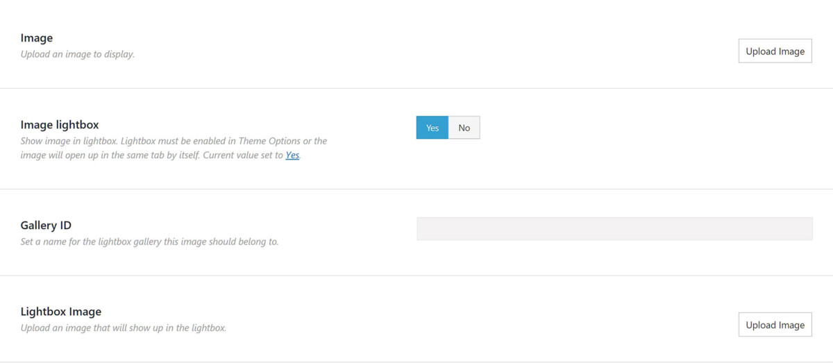 How To Use The Lightbox Avada site Builder