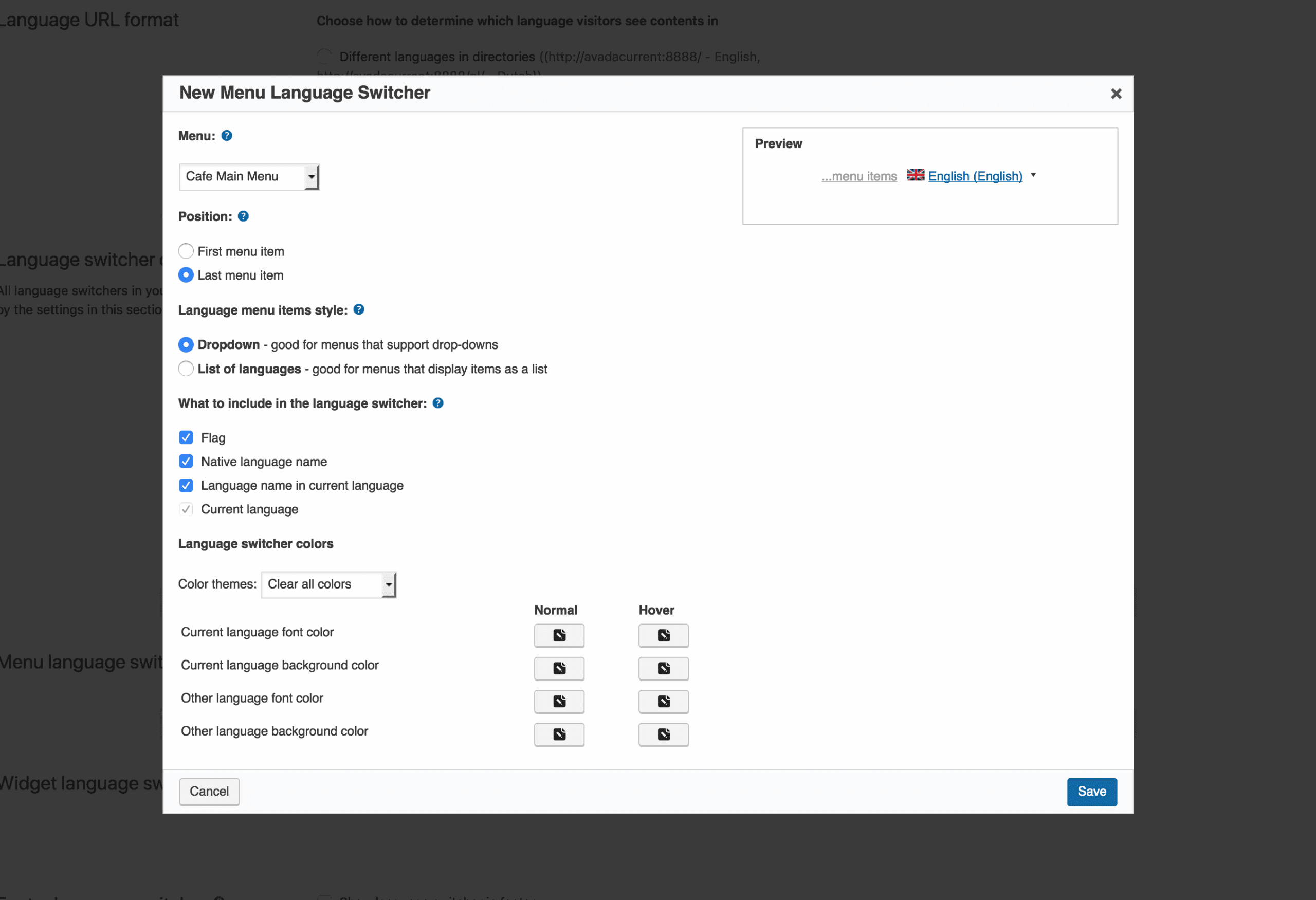 WPML Language Switcher Setting