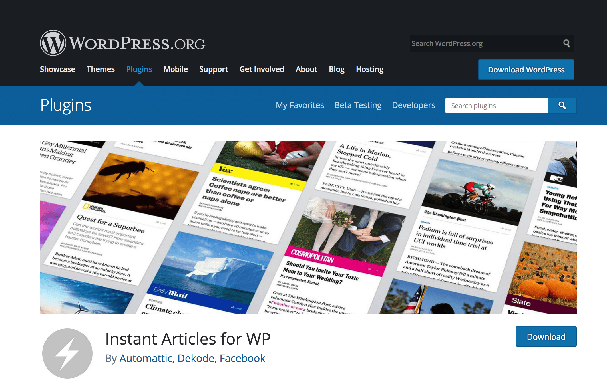 WP AMP Plugin WP AMP Plugin