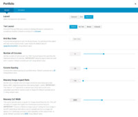 Portfolio Masonry Options