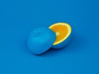 Gallery Element Sample Image 3
