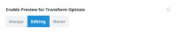 Enable Preview For Transform Options