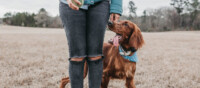 Woman Walking Dog in Field