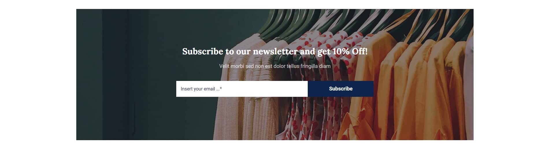 Avada Retail Newsletter Subscription Form