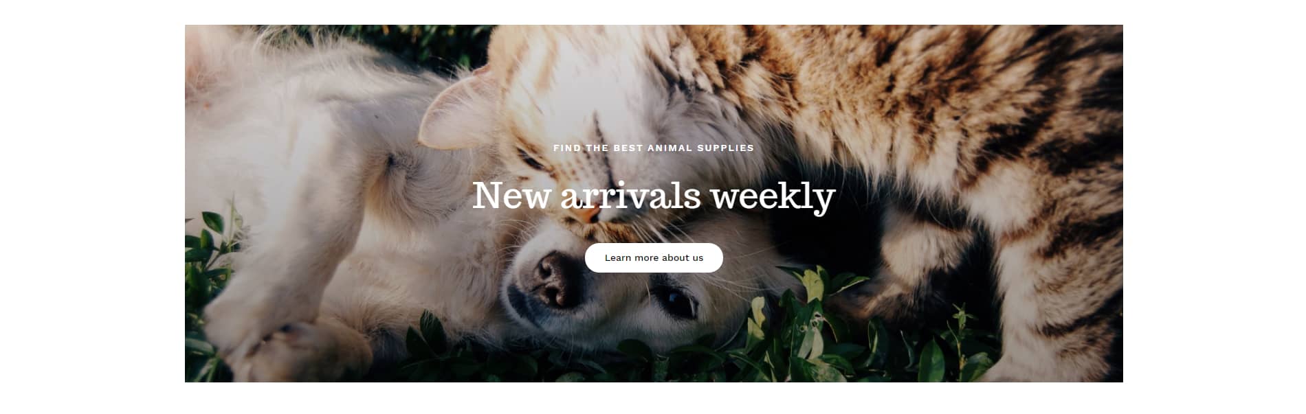 Avada Pet Supplies Visual CTA - New Arrivals Weekly