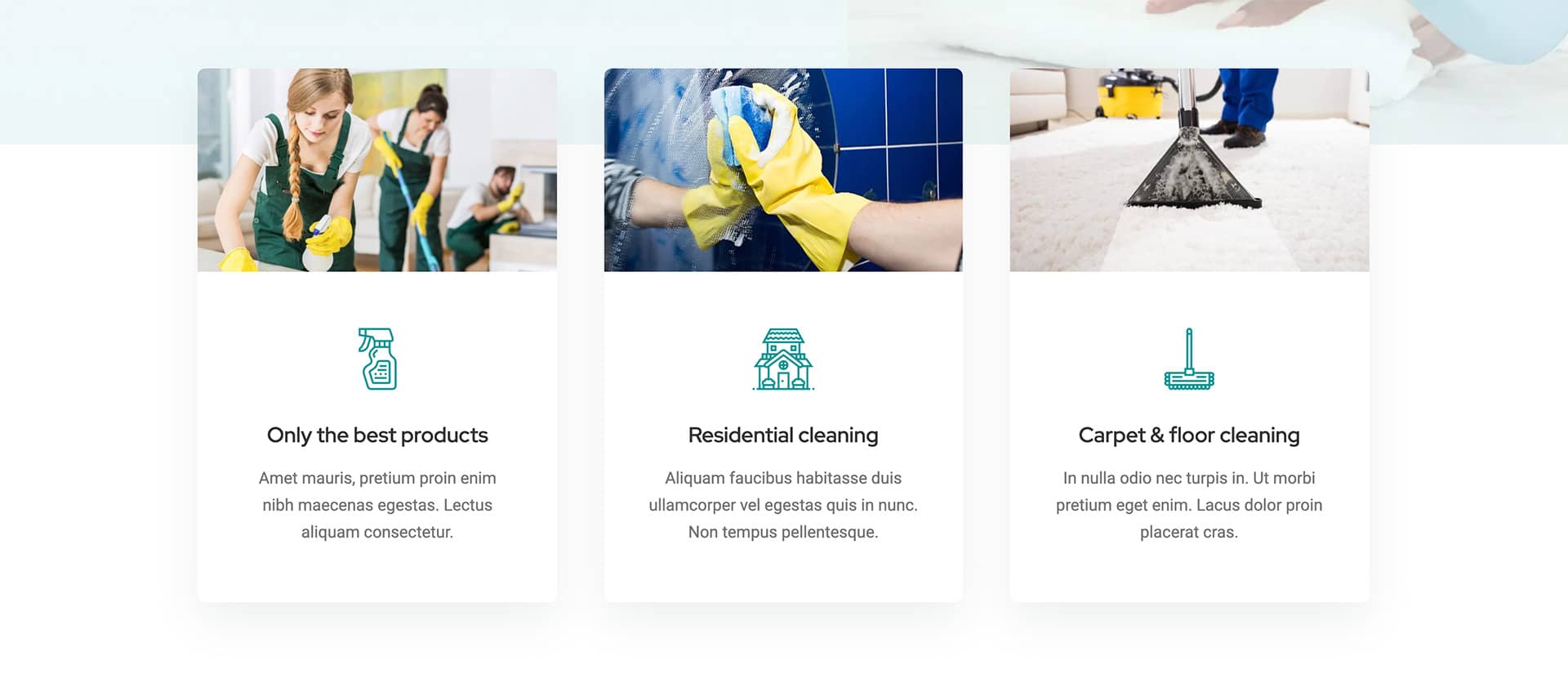 Avada Cleaning Services More Info CTA