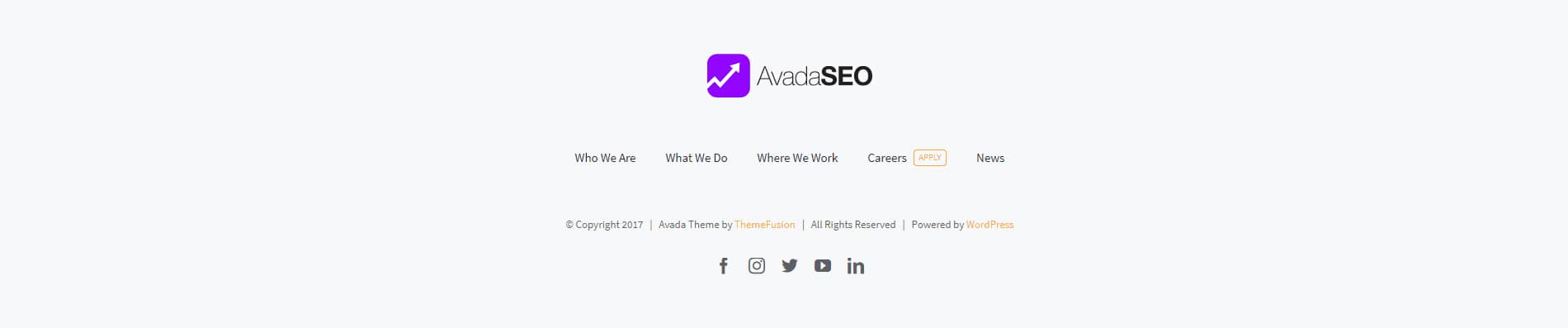 Avada Videographer Footer