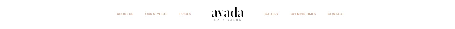 Avada Salon Header