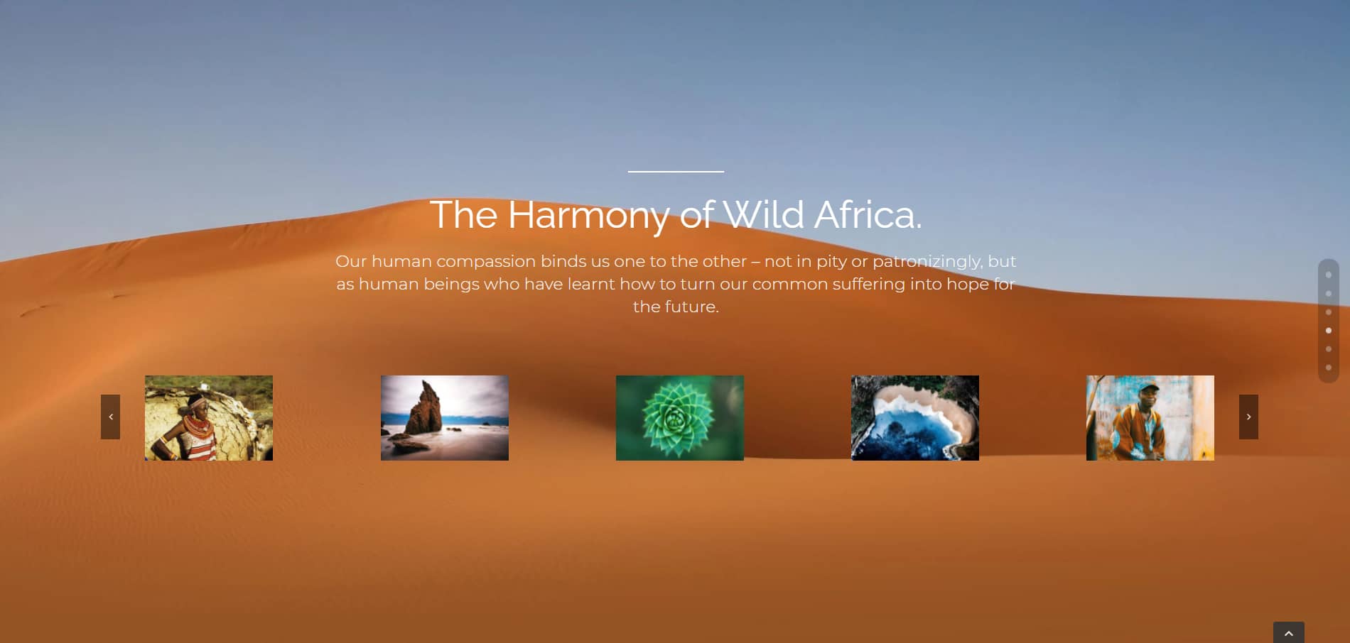 Avada Adventure The Harmony of Wild Africa