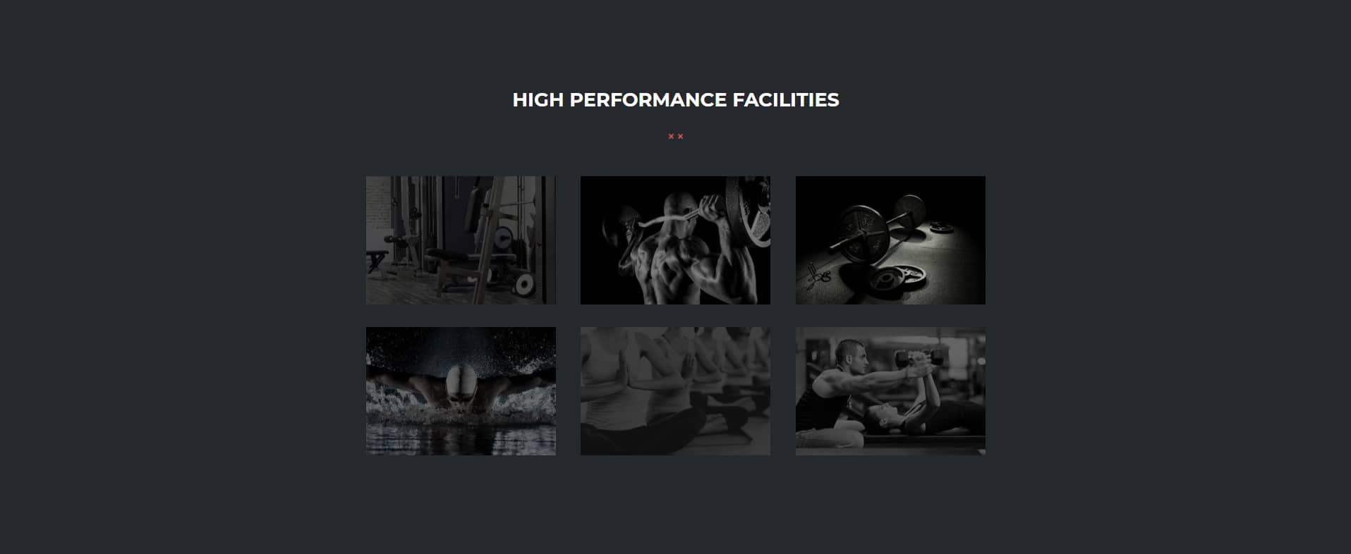 Avada Gym High Performance Facilities