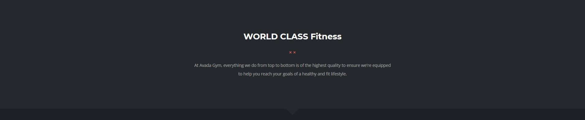 Avada Gym World Class Fitness