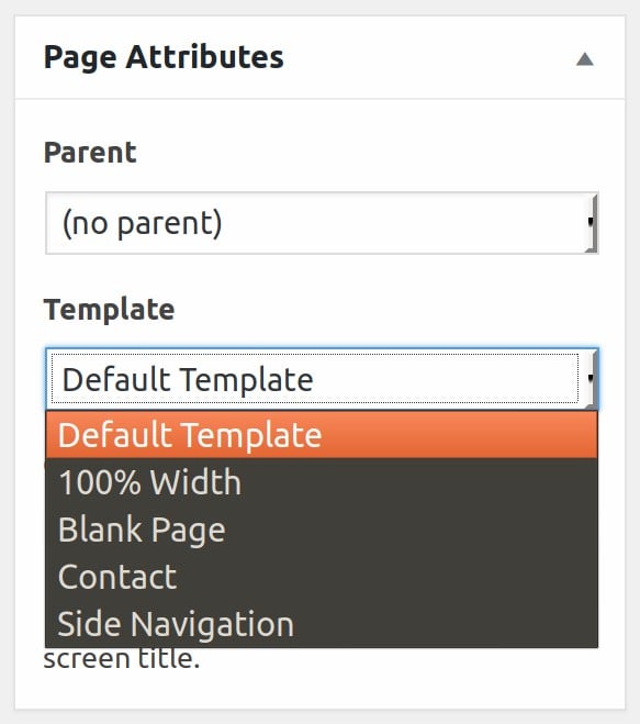 Page width. Post attributes Template.