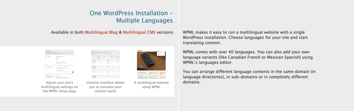 WPML Features
