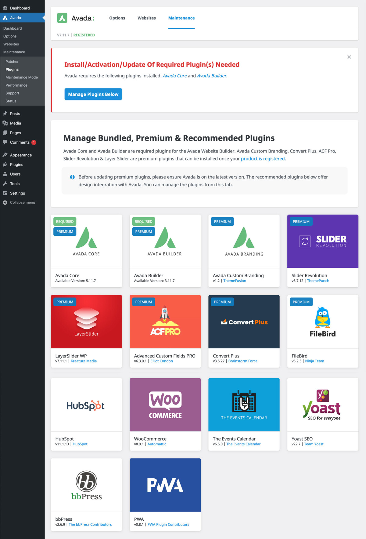 Quick Start Guide: How To Set Up A WordPress Site with Avada And Start ...