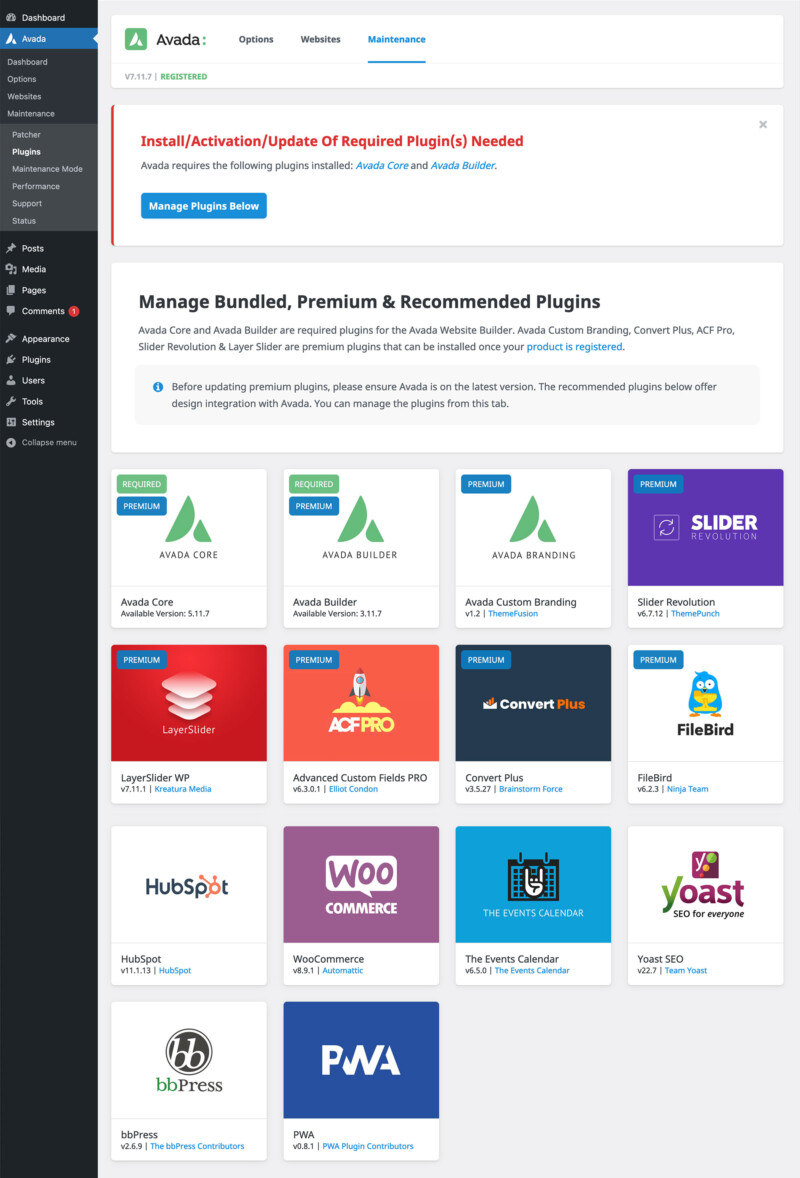 Quick Start Guide: How To Set Up A WordPress Site with Avada And Start ...