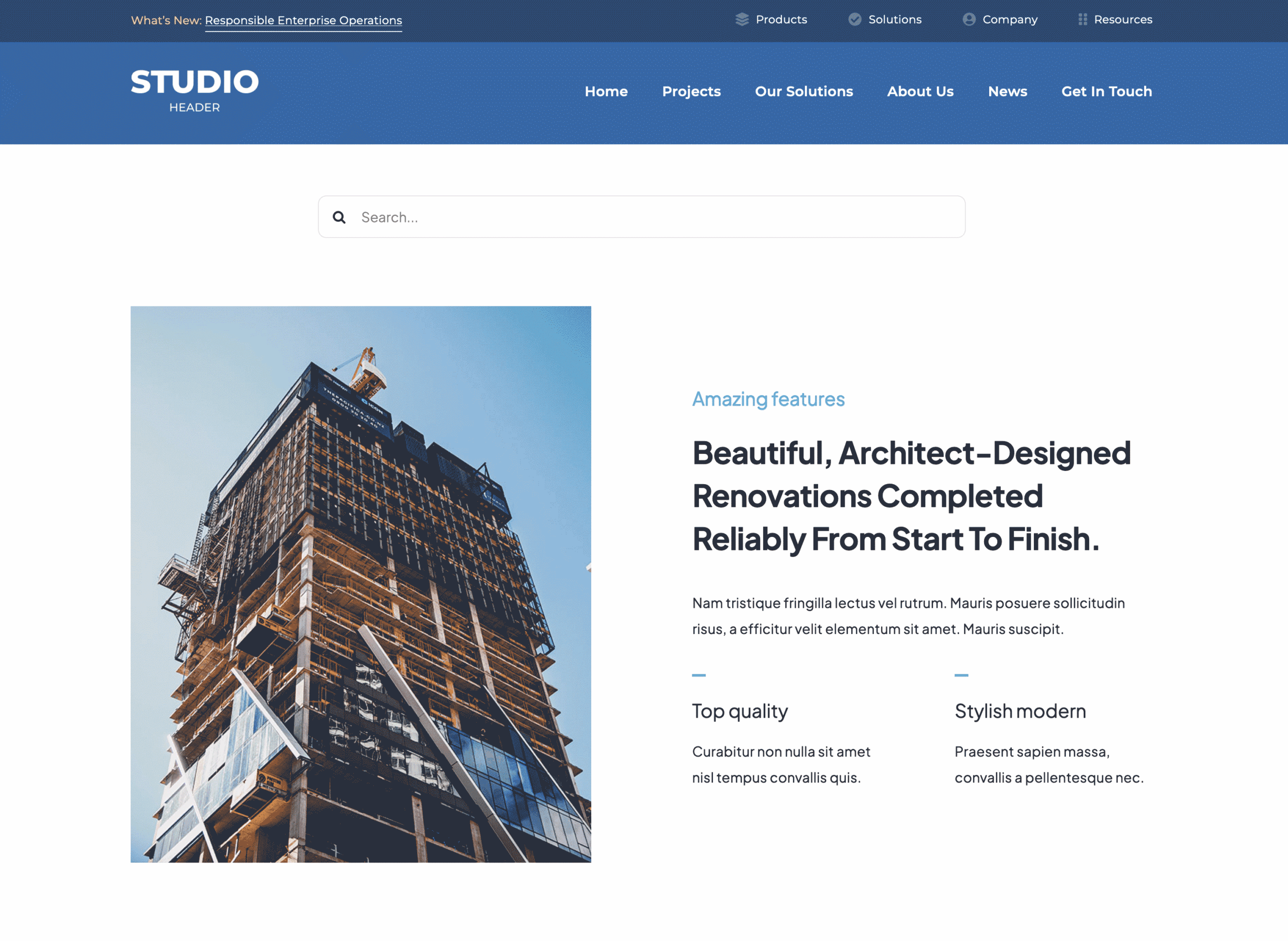 Avada Search Element Avada Search Element