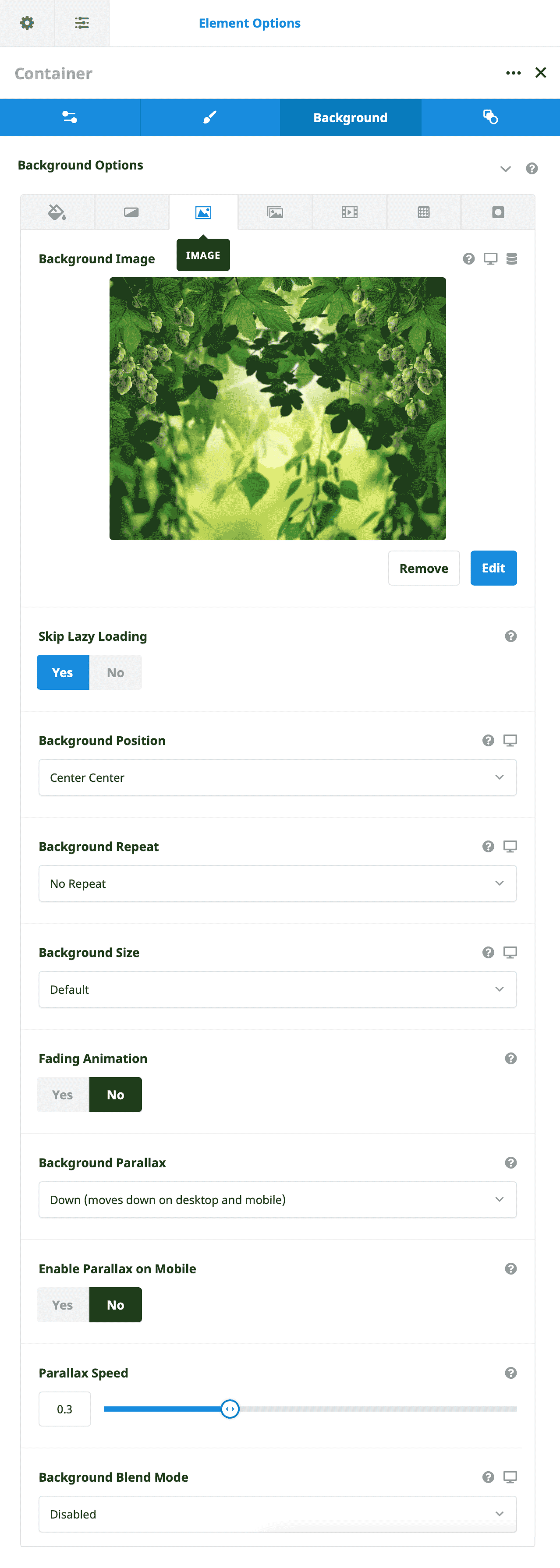 Container Background Image Options