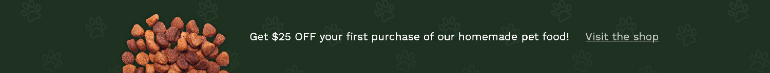 Avada Pet Website Column Example Avada Pet Website Column Example