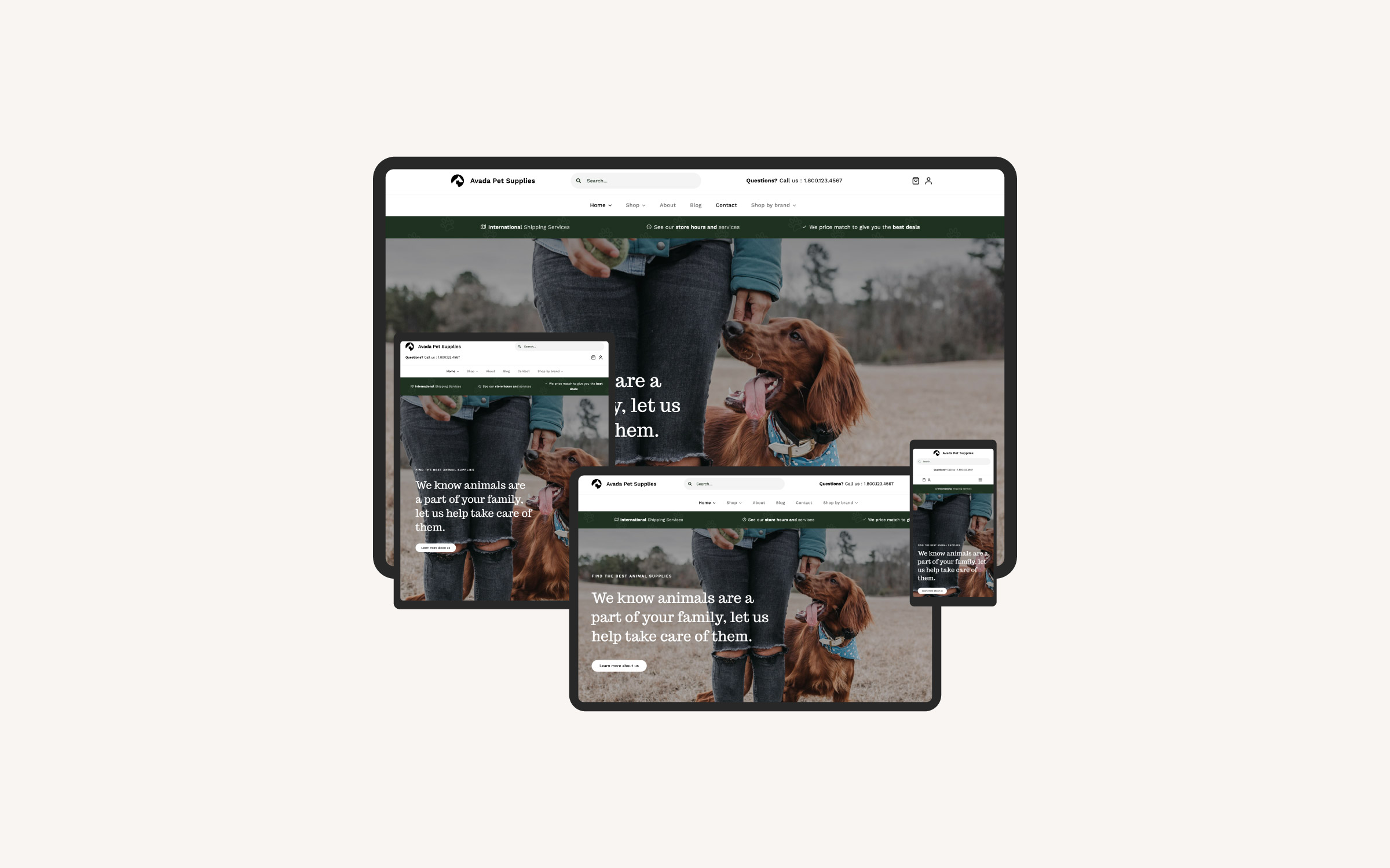 Responsive Avada Websites