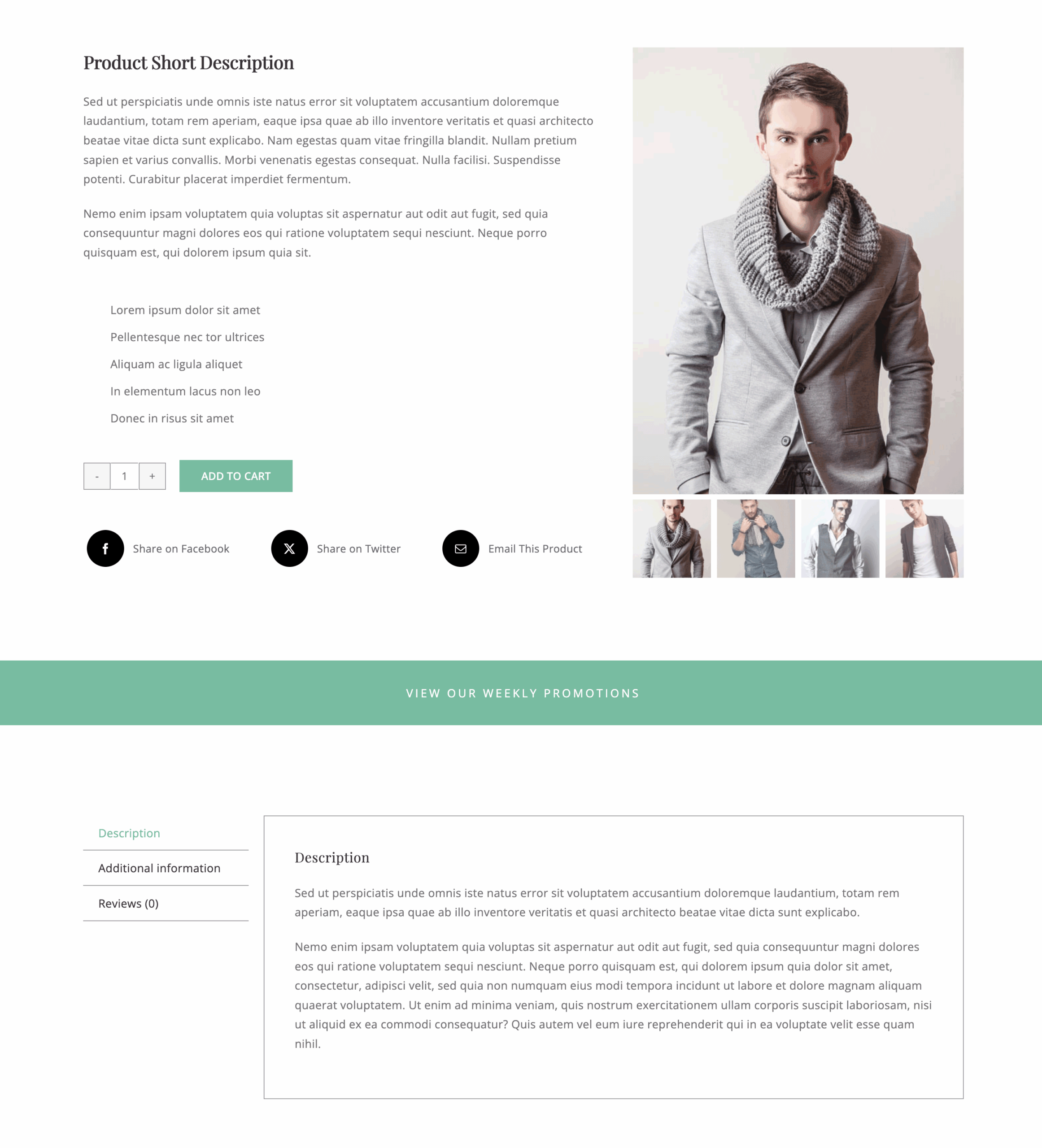 Avada Modern Shop Woo Tabs
