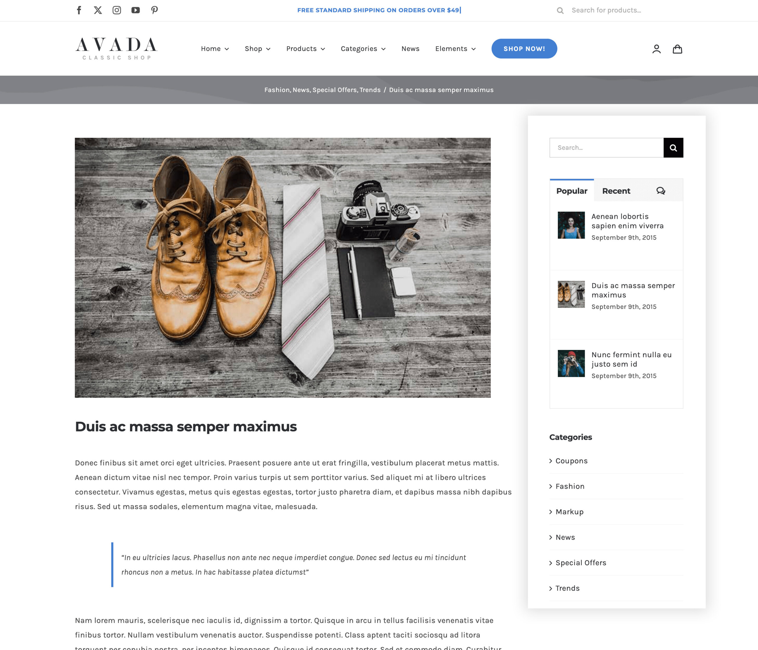 Avada Widget Elements