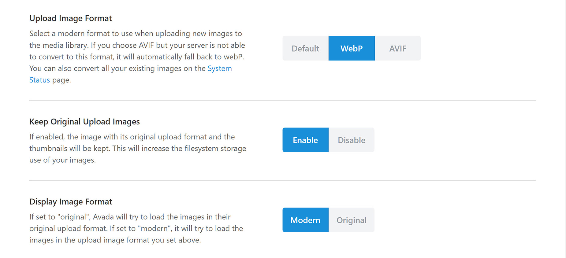 Performance > Images > Image Format Options