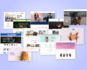 Ten Avada WooCommerce Websites